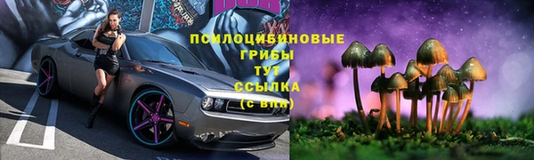 молекула духа Беломорск