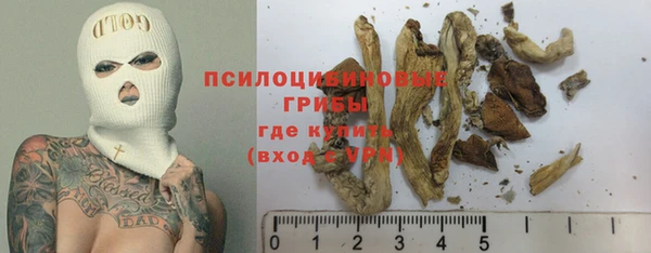 а пвп мука Белокуриха