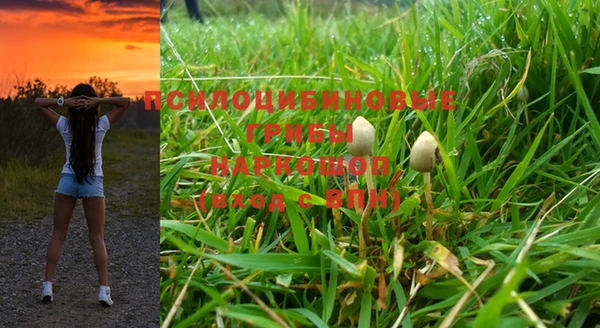 мяу мяу мука Переславль-Залесский